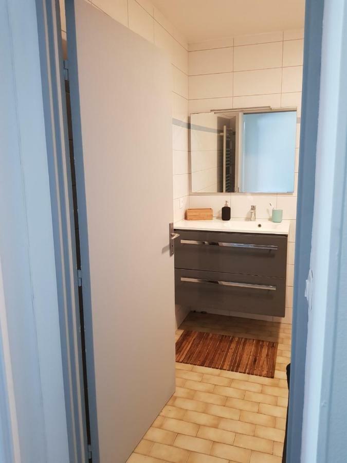 Appartement Centre Ville Proche Paris Disney Vincennes Transports ジョアンヴィル エクステリア 写真